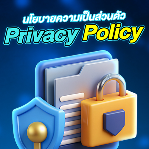 นโยบายความเป็นส่วนตัว